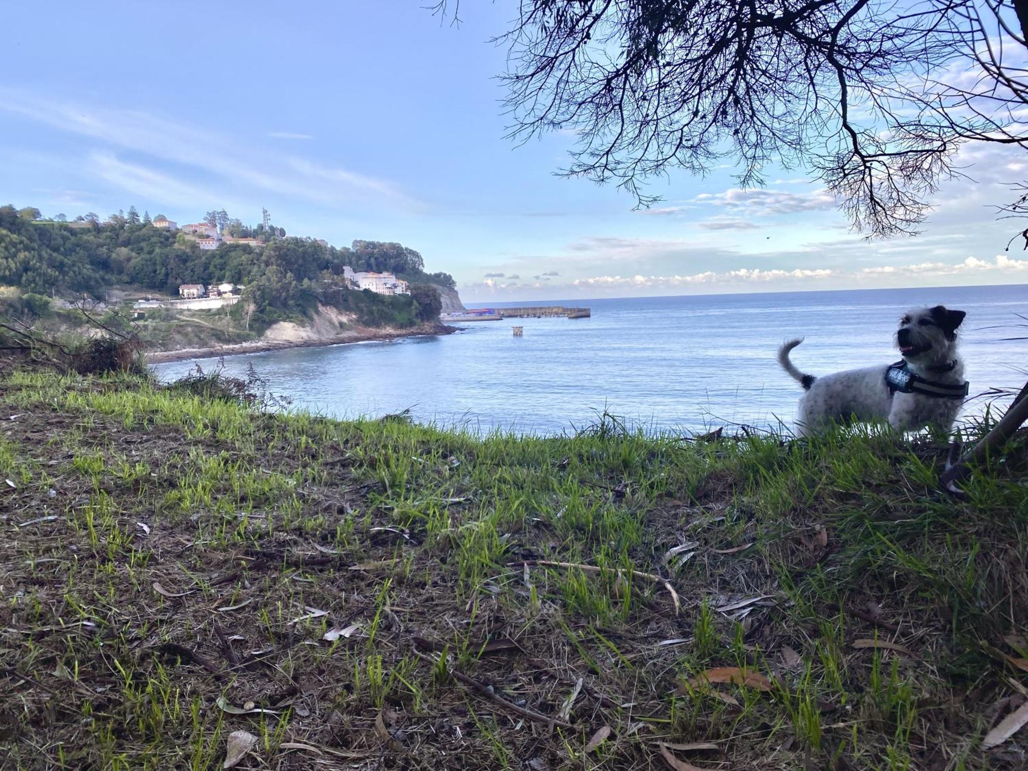 Respirando Salitre Apartamento En Llastres Exterior foto